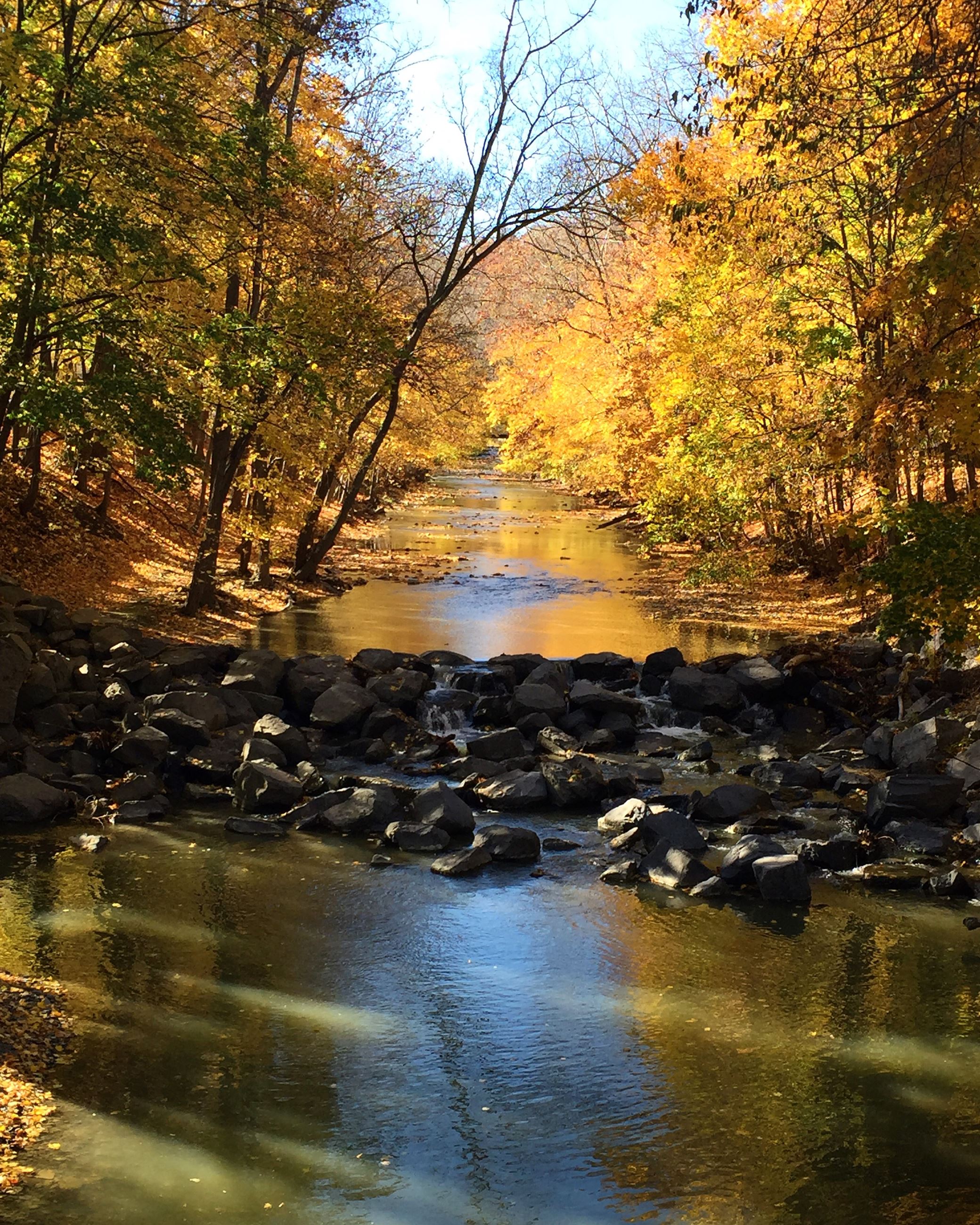 Taken by Aubrey Tomassi